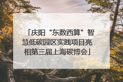庆阳“东数西算”智慧低碳园区实践项目亮相第三届上海碳博会