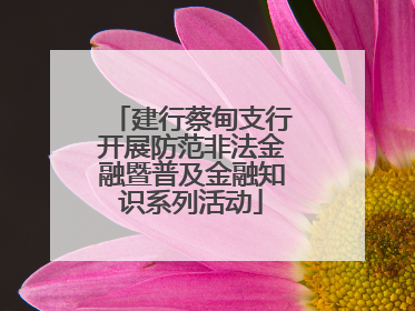 建行蔡甸支行开展防范非法金融暨普及金融知识系列活动
