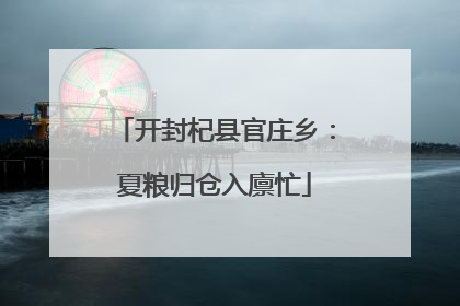 开封杞县官庄乡：夏粮归仓入廪忙
