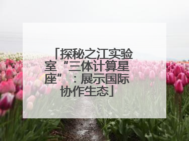探秘之江实验室“三体计算星座”：展示国际协作生态