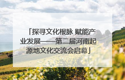 探寻文化根脉 赋能产业发展——第二届河南起源地文化交流会启幕