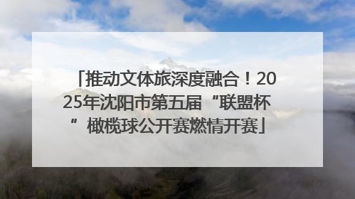 推动文体旅深度融合！2025年沈阳市第五届“联盟杯”橄榄球公开赛燃情开赛