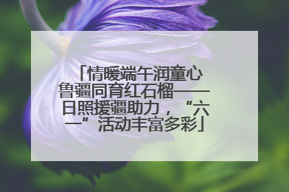 情暖端午润童心 鲁疆同育红石榴——日照援疆助力，“六一”活动丰富多彩