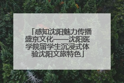 感知沈阳魅力传播盛京文化——沈阳医学院留学生沉浸式体验沈阳文旅特色
