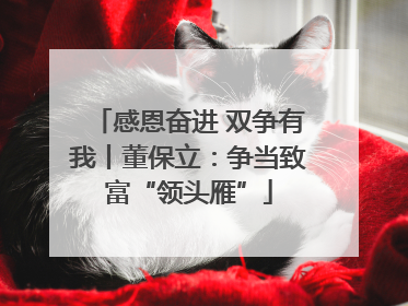 感恩奋进 双争有我丨董保立：争当致富“领头雁”