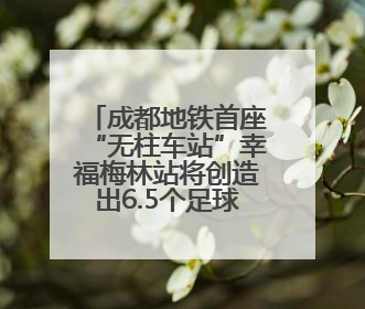 成都地铁首座“无柱车站”幸福梅林站将创造出6.5个足球场大小的通透空间