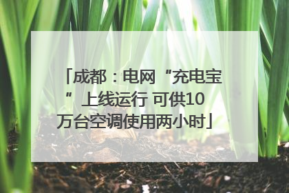 成都：电网“充电宝”上线运行 可供10万台空调使用两小时