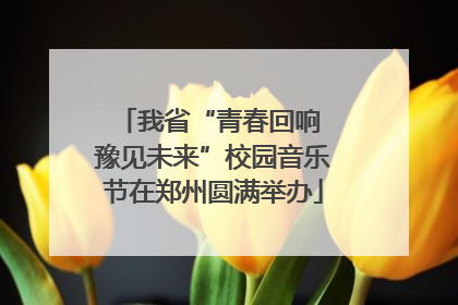 我省“青春回响 豫见未来”校园音乐节在郑州圆满举办