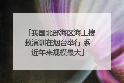 我国北部海区海上搜救演训在烟台举行 系近年来规模最大