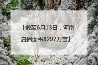截至6月13日，河南夏播面积8297万亩