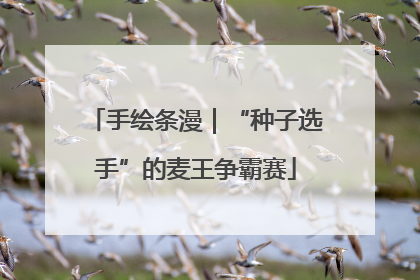 手绘条漫｜“种子选手”的麦王争霸赛