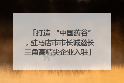 打造 “中国药谷”，驻马店市市长诚邀长三角高精尖企业入驻