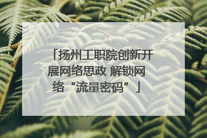 扬州工职院创新开展网络思政 解锁网络“流量密码”