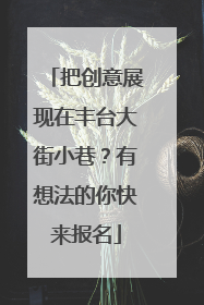 把创意展现在丰台大街小巷？有想法的你快来报名