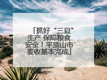抓好“三夏”生产 保障粮食安全！平顶山市麦收基本完成