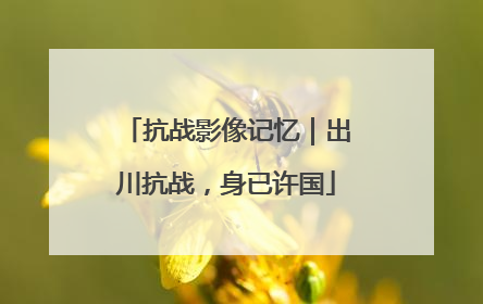 抗战影像记忆｜出川抗战，身已许国