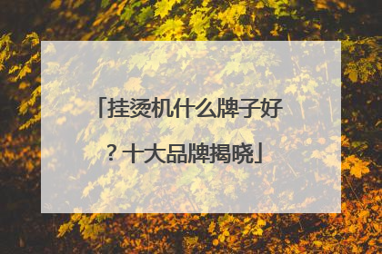 挂烫机什么牌子好？十大品牌揭晓