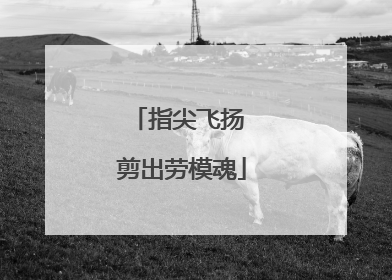 指尖飞扬 剪出劳模魂