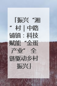 振兴“湘”村｜中路铺镇：科技赋能“金蛋产业” 全链驱动乡村振兴