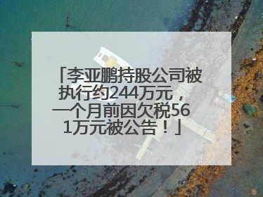 李亚鹏持股公司被执行约244万元，一个月前因欠税561万元被公告！