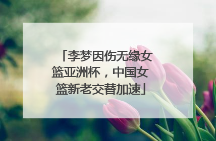 李梦因伤无缘女篮亚洲杯，中国女篮新老交替加速
