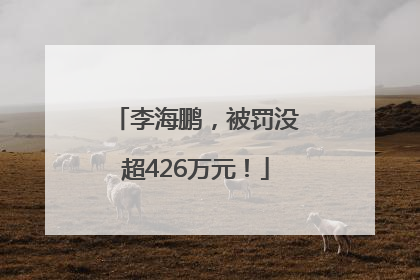 李海鹏，被罚没超426万元！