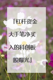 杠杆资金大手笔净买入的科创板股曝光