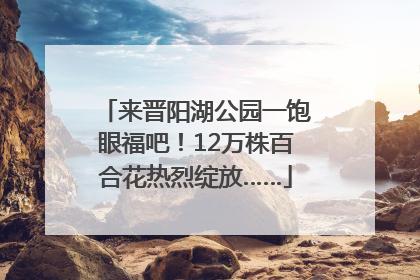 来晋阳湖公园一饱眼福吧！12万株百合花热烈绽放……