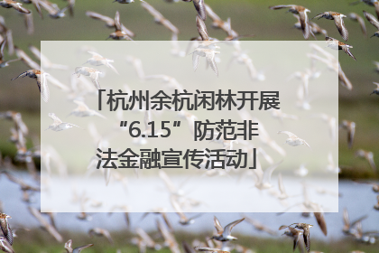 杭州余杭闲林开展“6.15”防范非法金融宣传活动