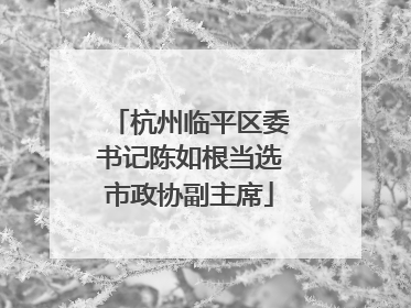 杭州临平区委书记陈如根当选市政协副主席