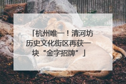 杭州唯一！清河坊历史文化街区再获一块“金字招牌”
