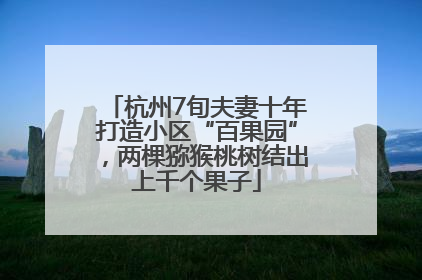 杭州7旬夫妻十年打造小区“百果园”，两棵猕猴桃树结出上千个果子