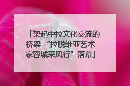 架起中拉文化交流的桥梁 “拉脱维亚艺术家蓉城采风行”落幕