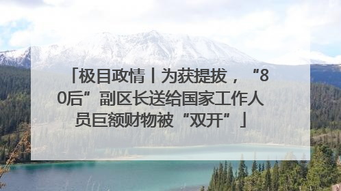 极目政情丨为获提拔，“80后”副区长送给国家工作人员巨额财物被“双开”