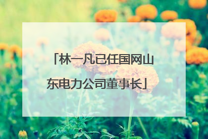 林一凡已任国网山东电力公司董事长