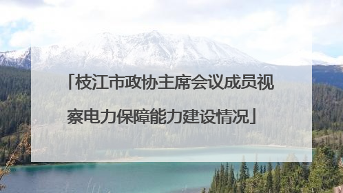枝江市政协主席会议成员视察电力保障能力建设情况