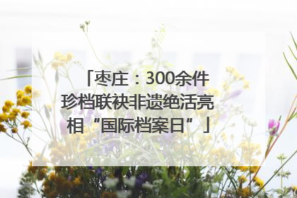 枣庄：300余件珍档联袂非遗绝活亮相“国际档案日”