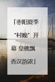 枣阳夏季“村晚”开幕 皇桃飘香汉韵浓
