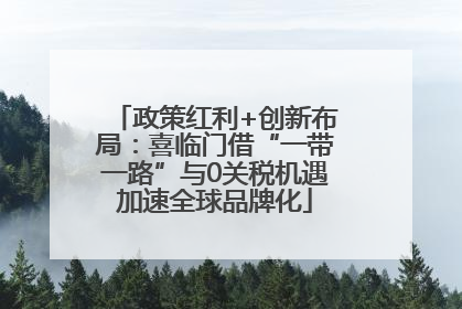 政策红利+创新布局：喜临门借“一带一路”与0关税机遇加速全球品牌化