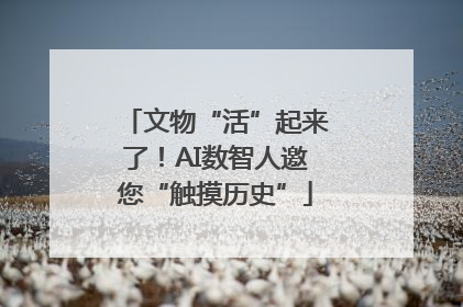 文物“活”起来了！AI数智人邀您“触摸历史”