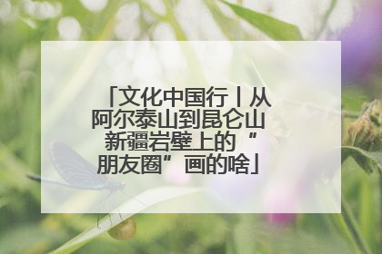 文化中国行丨从阿尔泰山到昆仑山 新疆岩壁上的“朋友圈”画的啥
