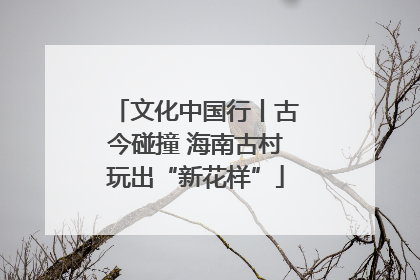 文化中国行丨古今碰撞 海南古村玩出“新花样”