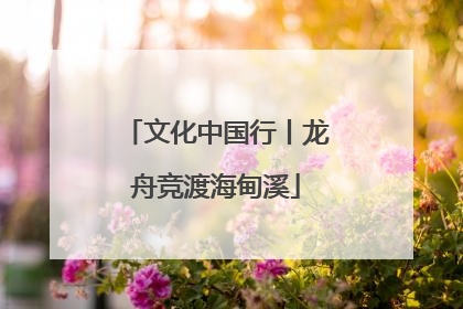 文化中国行丨龙舟竞渡海甸溪
