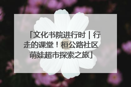 文化书院进行时｜行走的课堂！桓公路社区萌娃超市探索之旅