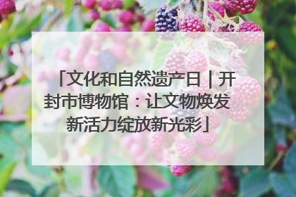 文化和自然遗产日｜开封市博物馆：让文物焕发新活力绽放新光彩