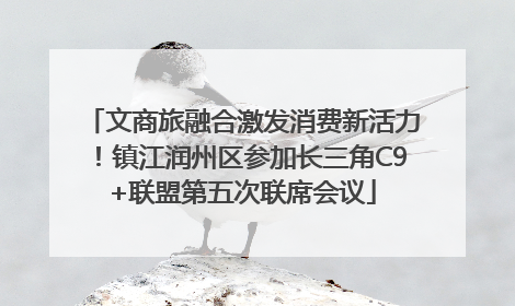 文商旅融合激发消费新活力！镇江润州区参加长三角C9+联盟第五次联席会议