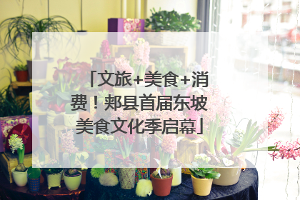 文旅+美食+消费！郏县首届东坡美食文化季启幕