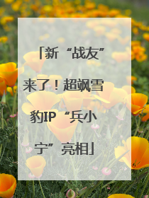新“战友”来了！超飒雪豹IP“兵小宁”亮相