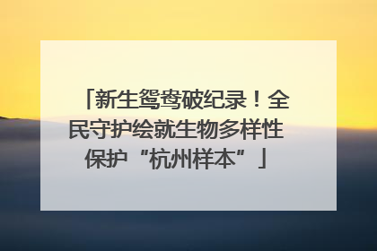 新生鸳鸯破纪录！全民守护绘就生物多样性保护“杭州样本”