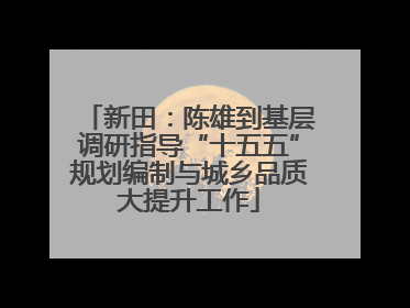 新田：陈雄到基层调研指导“十五五”规划编制与城乡品质大提升工作